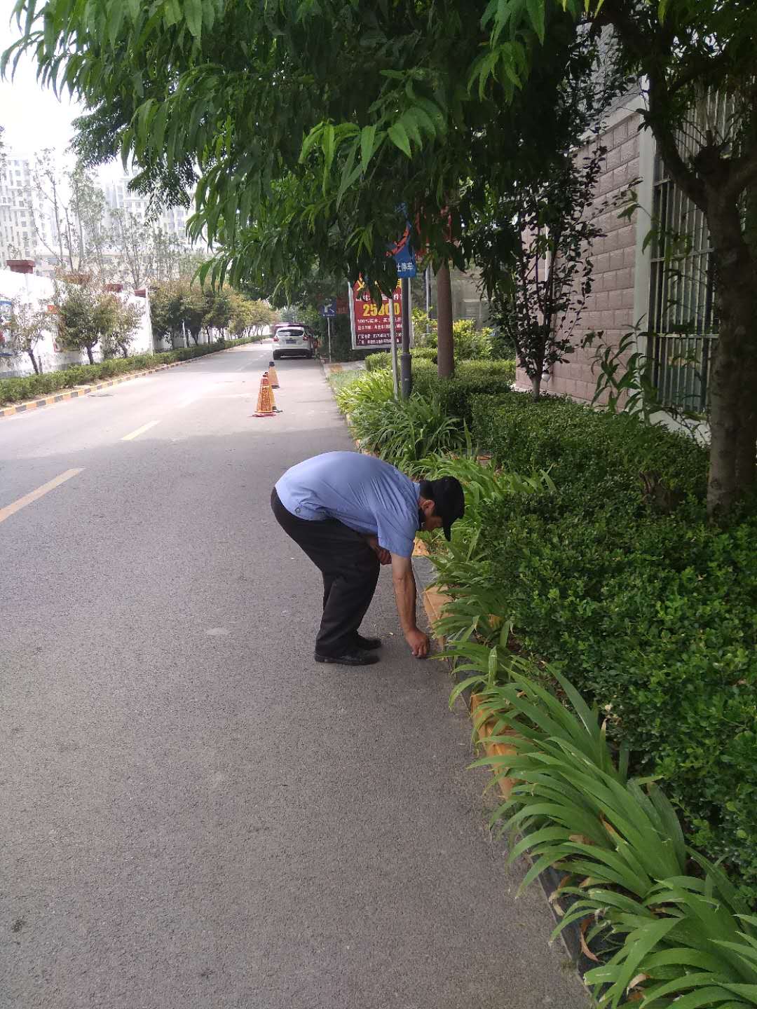 1531378650676975.jpg 1531378650676975.jpg