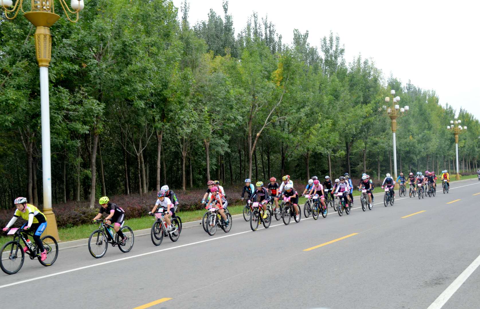 1537250300718028.jpg 1537250300718028.jpg