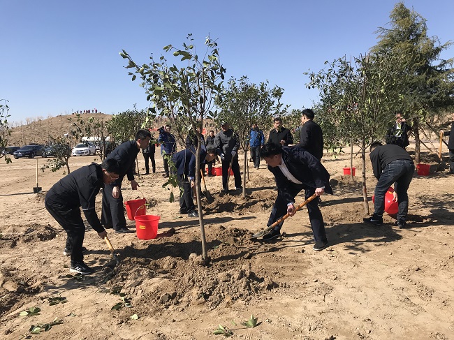 1552629214411642.jpg 1552629214411642.jpg