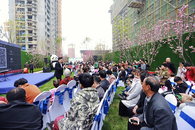 1557125744461774.png 1557125744461774.png