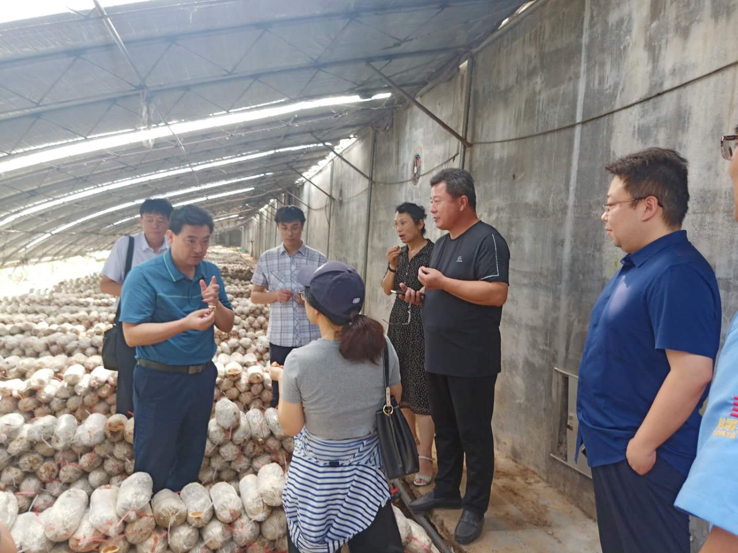 1596592169715704.jpg 1596592169715704.jpg